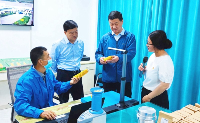 甘肅省地方金融監(jiān)管局、甘肅證監(jiān)局領(lǐng)導(dǎo)蒞臨敦煌種業(yè)調(diào)研指導(dǎo)